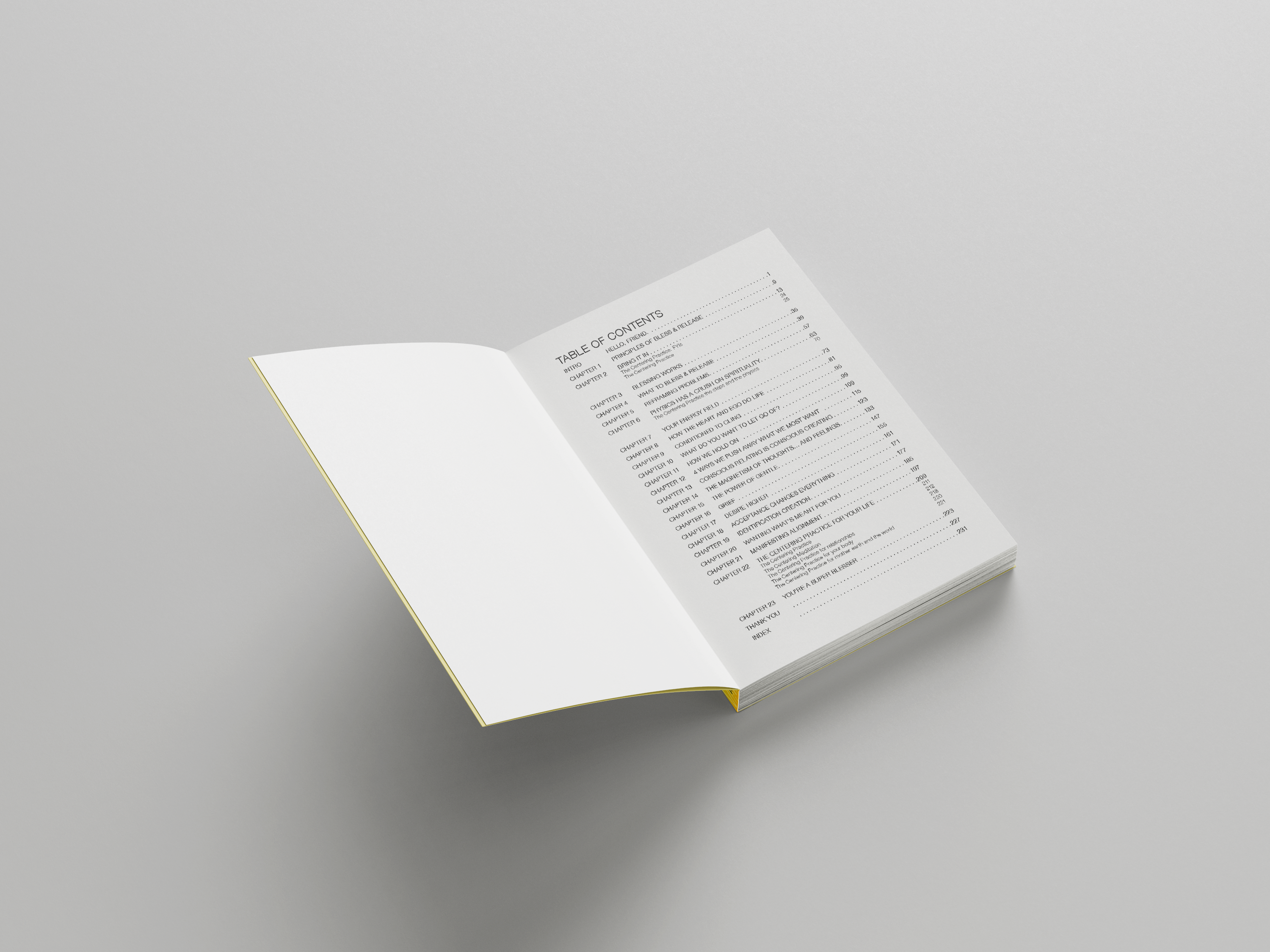 Bless & Release Physical Book (Pre-Order)