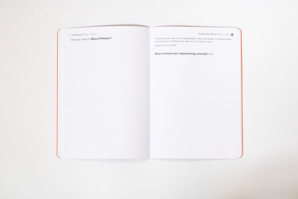 Write + Burn Journal