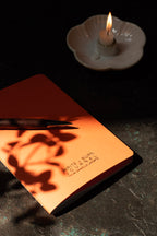 Write + Burn Journal