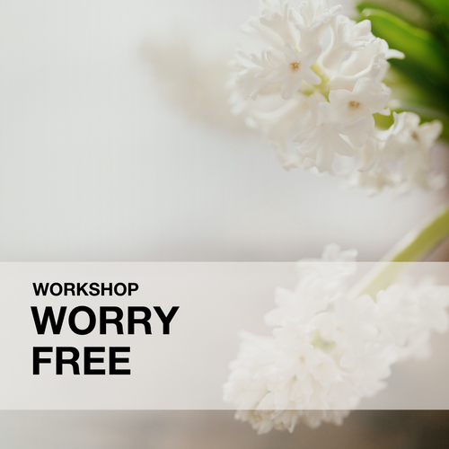 Worry Free Workshop